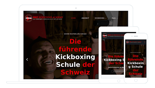 dixisolutions testimonials | kickboxing.ch