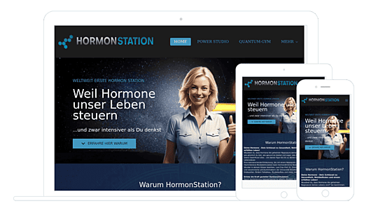 Dixisolutions Individuelle Website-Erstellung
