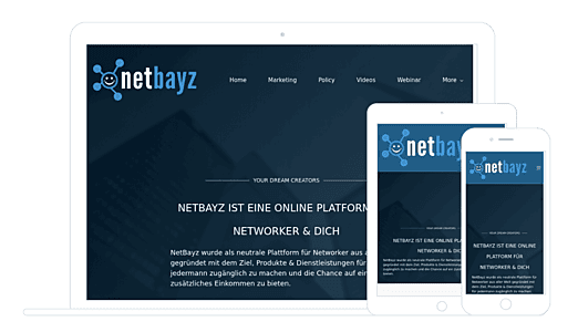 dixisolutions testimonials | netbayz.net
