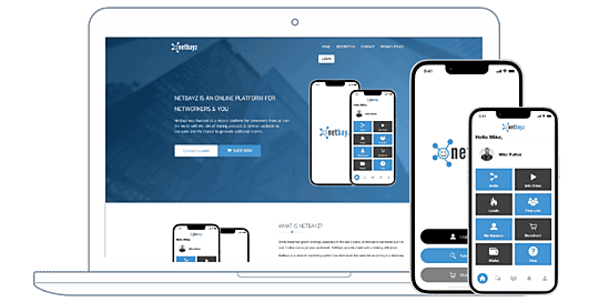 dixisolutions testimonials | netbayz.com